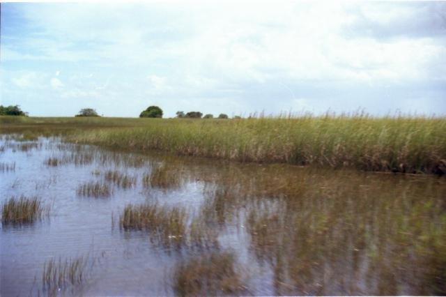 Urlaub in Florida 1998